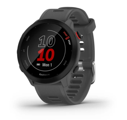 WATCH Forerunner® 55 MONTERRA GREY GARMIN