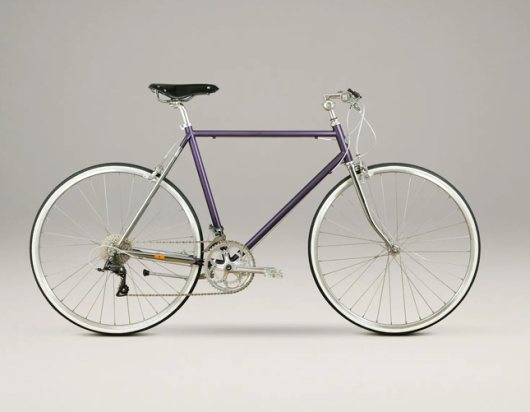 BICYCLE URBAN 16 SPEED CHROME/PURPLE SIECH