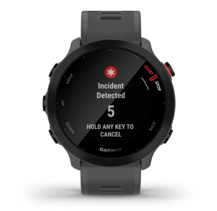 WATCH Forerunner® 55 MONTERRA GREY GARMIN