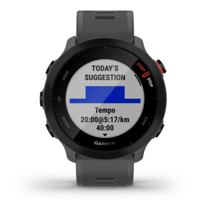 SAT Forerunner® 55 MONTERRA SIVI GARMIN