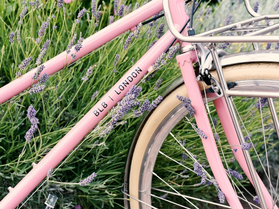 BICYCLE BUTTERFLY 8SPD DUSTY PINK BLB