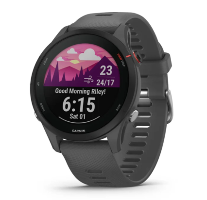 WATCH Forerunner® 255 GREY GARMIN