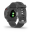 WATCH Forerunner® 55 MONTERRA GREY GARMIN