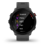 WATCH Forerunner® 55 MONTERRA GREY GARMIN